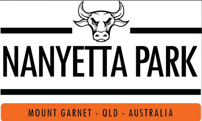 Mount Garnet QLD 4872