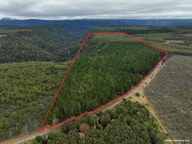 Murchison Highway, Parrawe TAS 7321