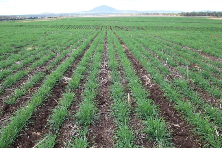 765 Cluen Access Road , Dysart QLD 4745