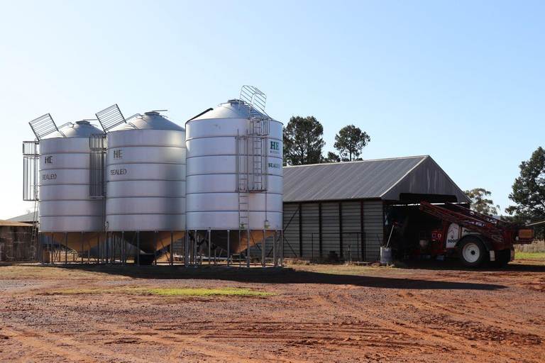 Crowley Road, Trundle NSW 2875