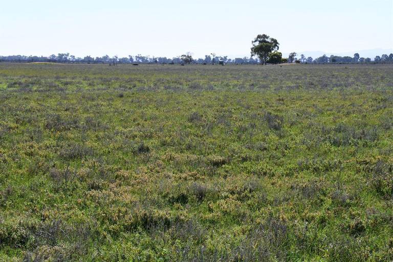 166 Pengilly Road, Wilmington SA 5485