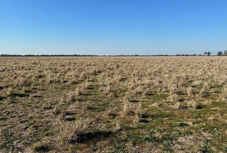 119 Womera Creek Road, Wee Waa NSW 2388