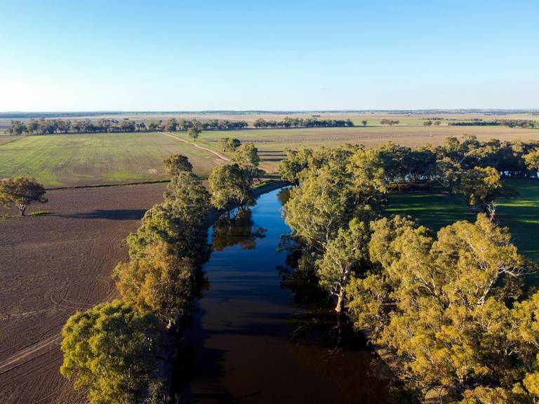 Bedgerabong Road, Forbes NSW 2871