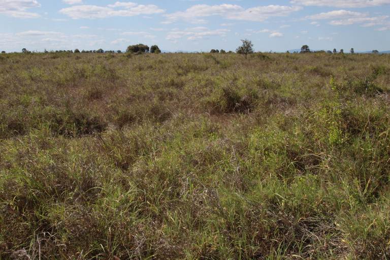 4510 Valkryie Road , Valkyrie QLD 4742