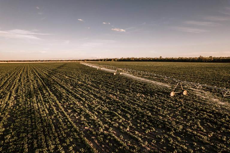 Kelinda, Moura QLD 4718