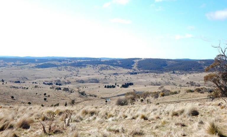 "Black Flat" Monaro Highway, Nimmitabel NSW 2631