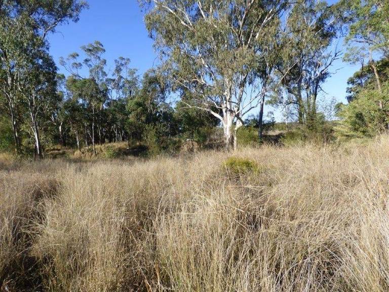 2041 Banana Bridge Road, Kogan QLD 4406