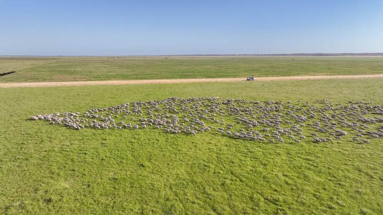 2702 Minnie Crowe Road, Keilira SA 5275