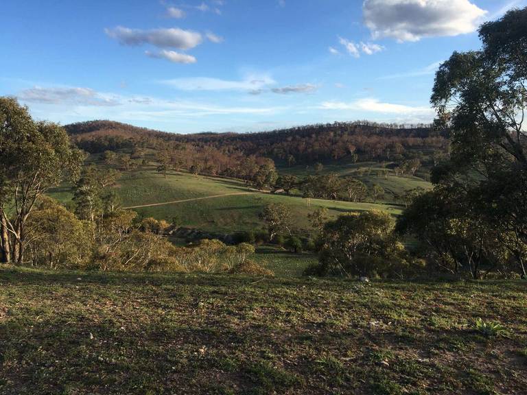 Lot 37 Good Good Road, Peak View NSW 2630