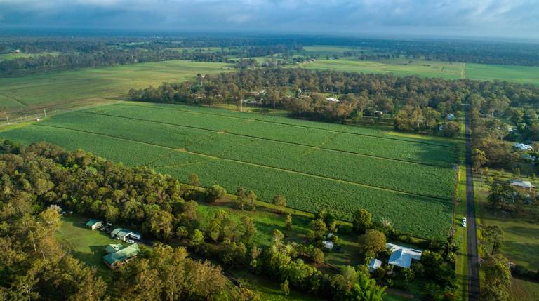 Tinana QLD 4650