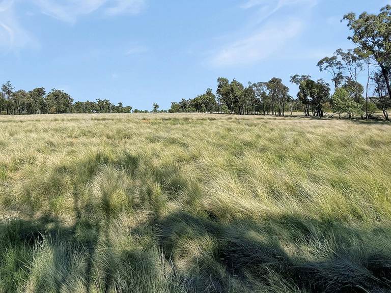 770 Bests Road, Drillham South QLD 4424