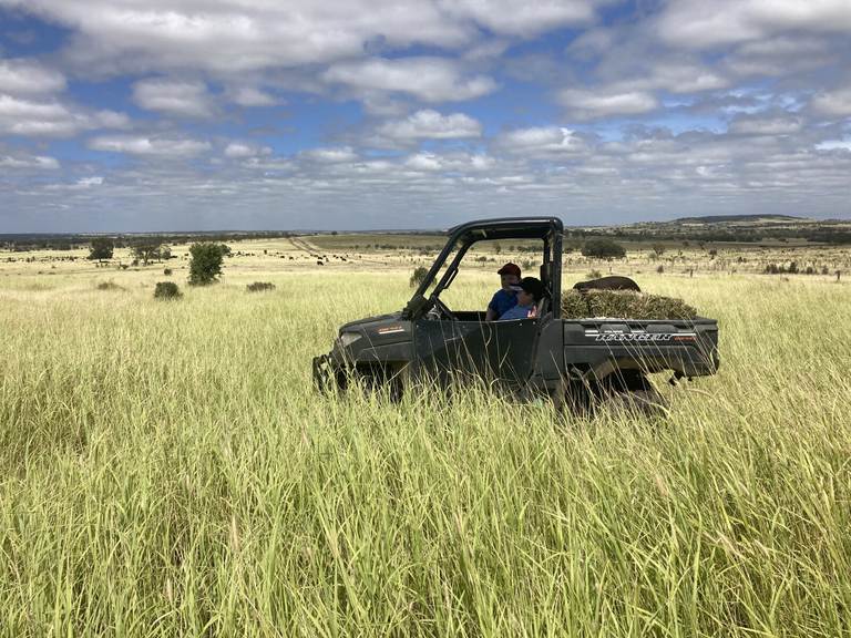 416 Nine Mile Road, Roma QLD 4455
