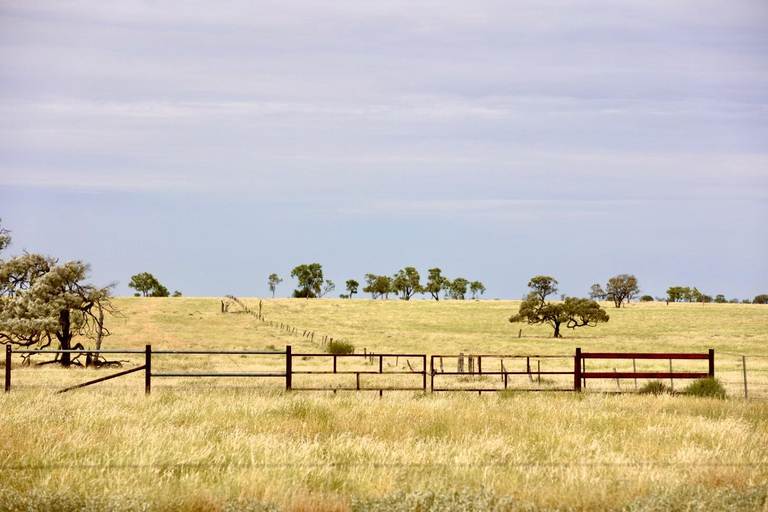 2308 Morella-Silsoe Rd, Longreach QLD 4730