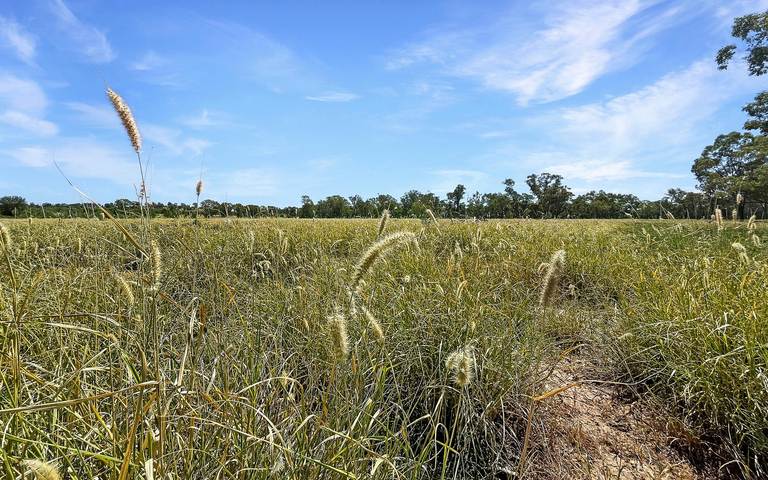 27926 Carnarvon Highway, Tingun QLD 4455
