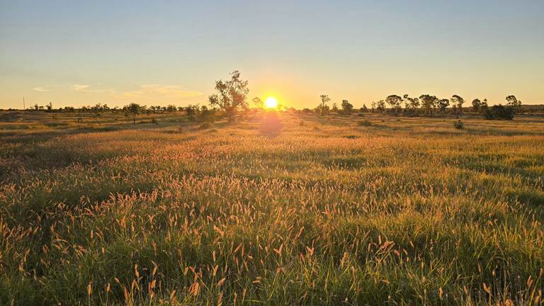 7286 Roma Southern Road, Ballaroo QLD 4455