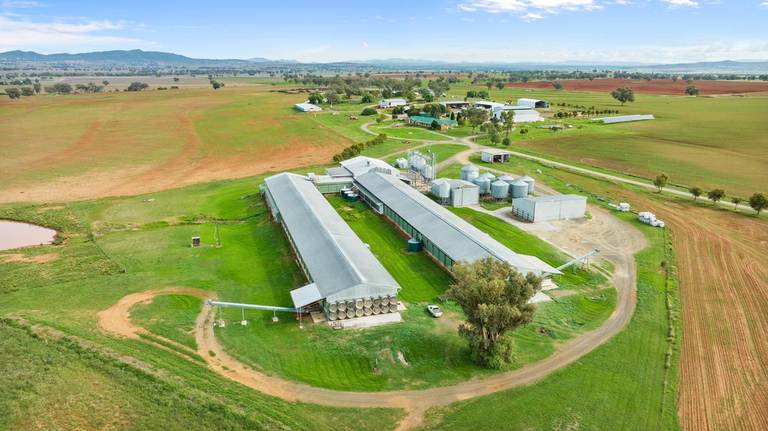 198 Careys Lane , Bective NSW 2340