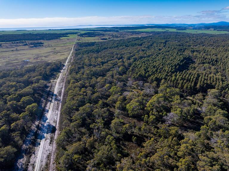 Saltwood Road, Bridport TAS 7262