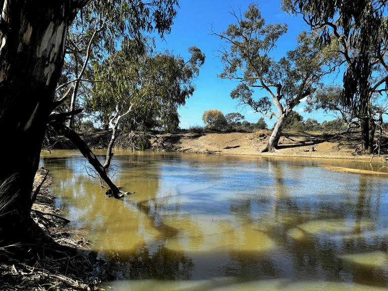 Brassi Road, Deniliquin NSW 2710