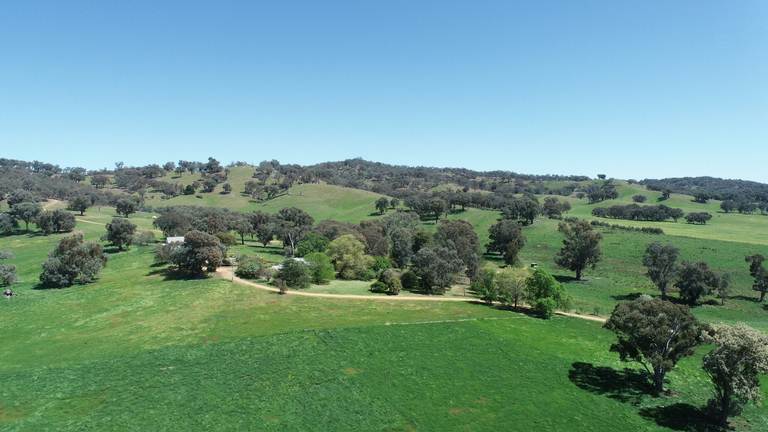 290 Nugents Road, Humula NSW 2652