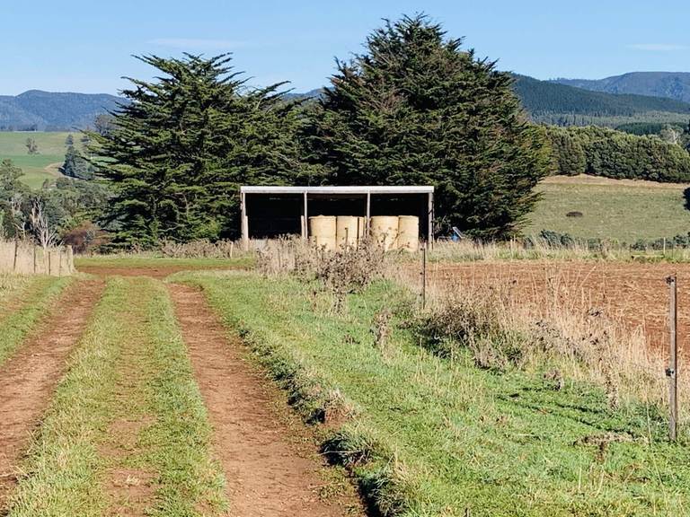 439 Ringarooma Road, Ringarooma TAS 7263