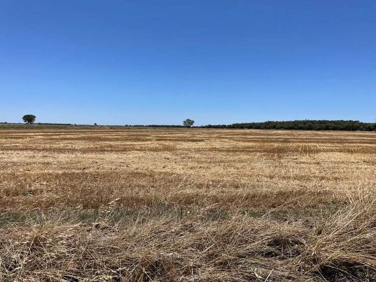 Farm 1761, 846 Whitton to Darlington Point Road, Whitton NSW 2705