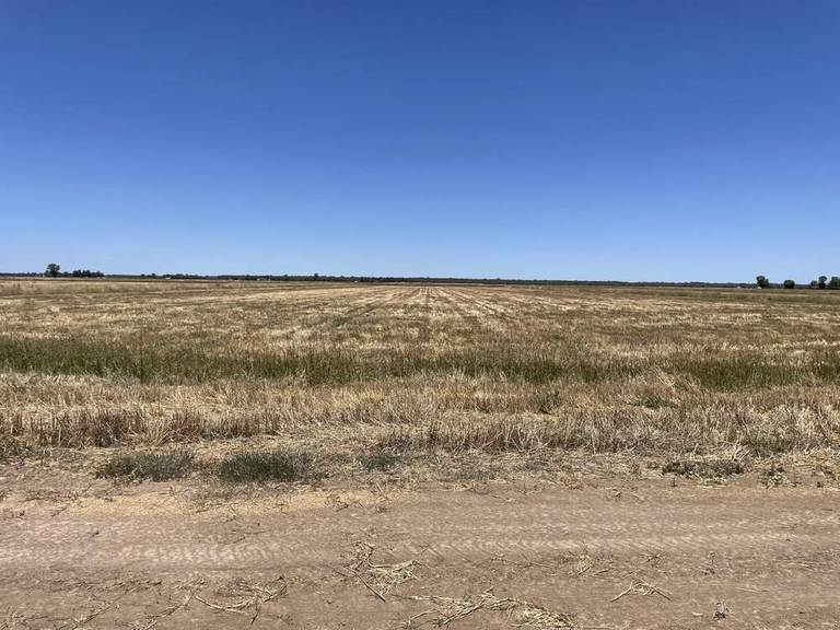 Farm 1764, 1390 Whitton to Darlington Point Road, Whitton NSW 2705