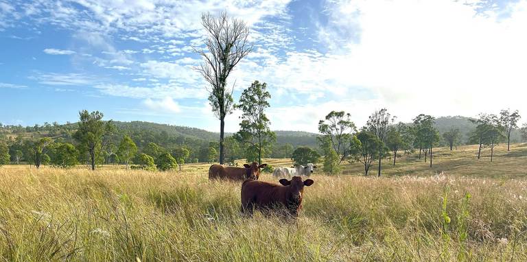 29 Runnymede Estate East Road, Runnymede QLD 4615