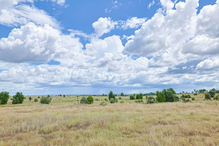1638 Willows - Rutland Road , Willows QLD 4702