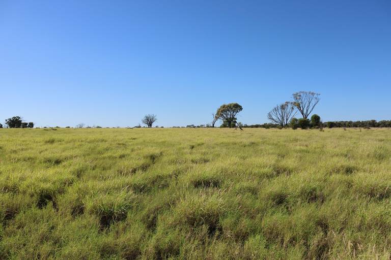 1468 Benlidi Idalia Road, Blackall QLD 4472