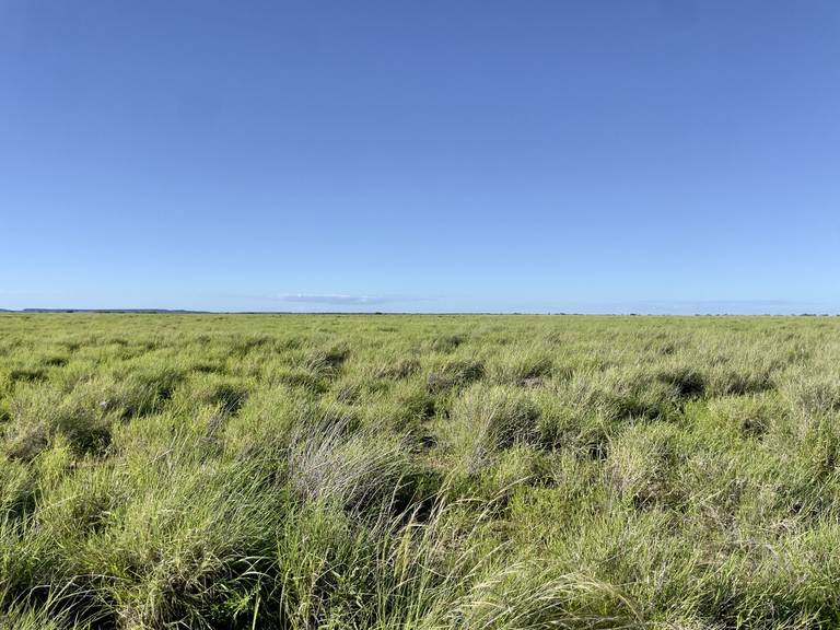 Tulmur Aggregation, Winton QLD 4735