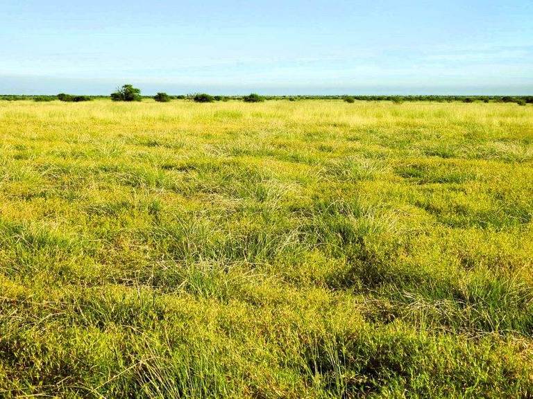 "Mugwee ", Hughenden QLD 4821