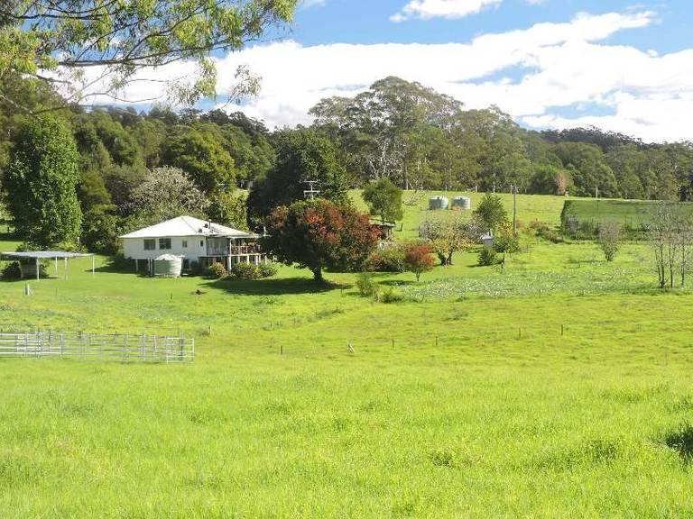 Dorrigo NSW 2453