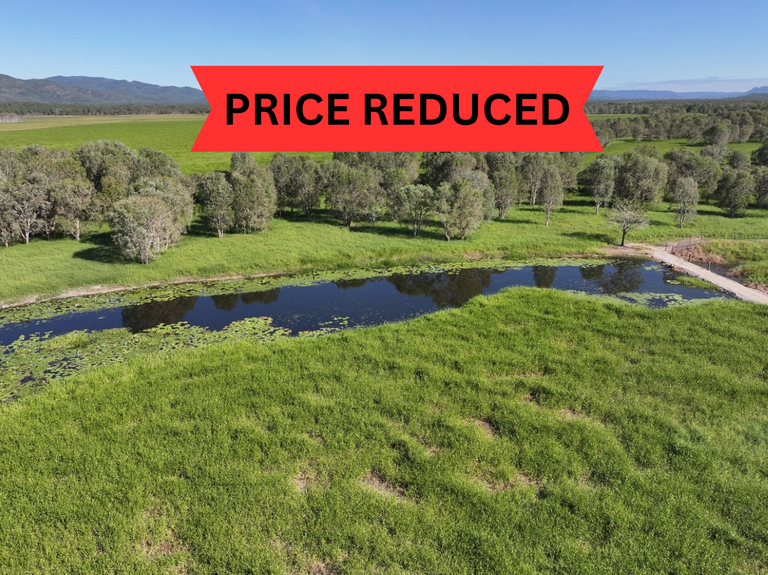 Pomona Road, Ingham QLD 4850