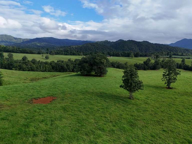720 Pullom Road, Nerada QLD 4860