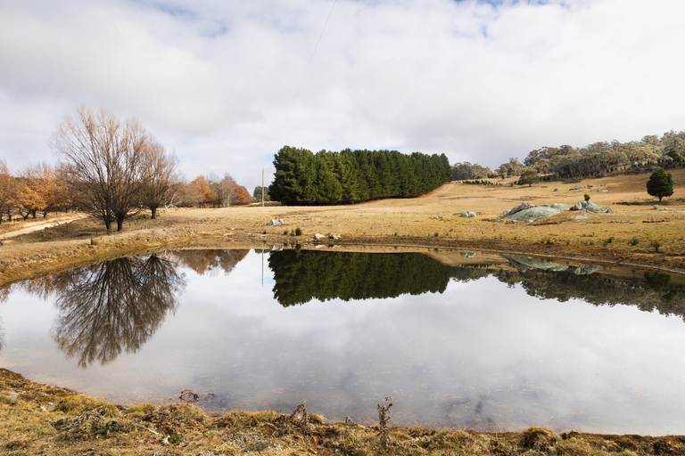 175 Tumbledown Road, Peak View NSW 2630
