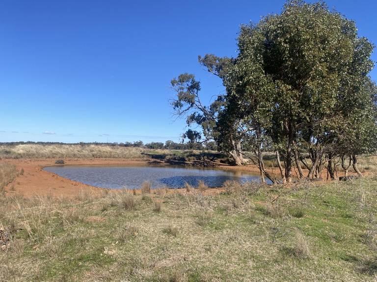 382 JONES LANE , Condobolin NSW 2877
