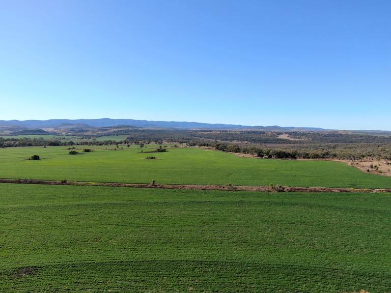 975 Cedarvale Road, Cooranga QLD 4408