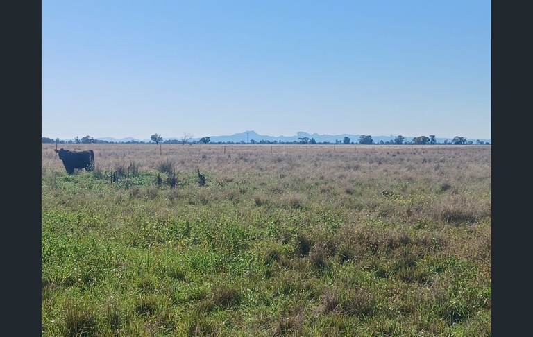795 Armatree Road, Armatree NSW 2828