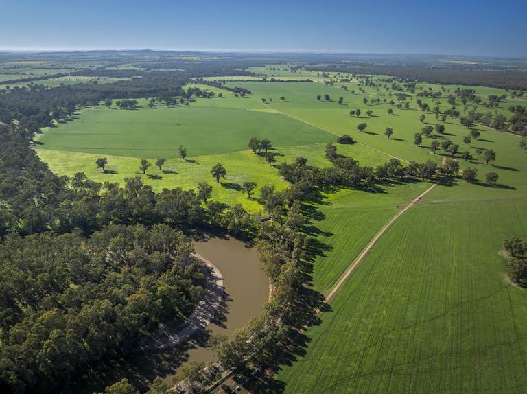 3688 Sturt Highway, Collingullie NSW 2650