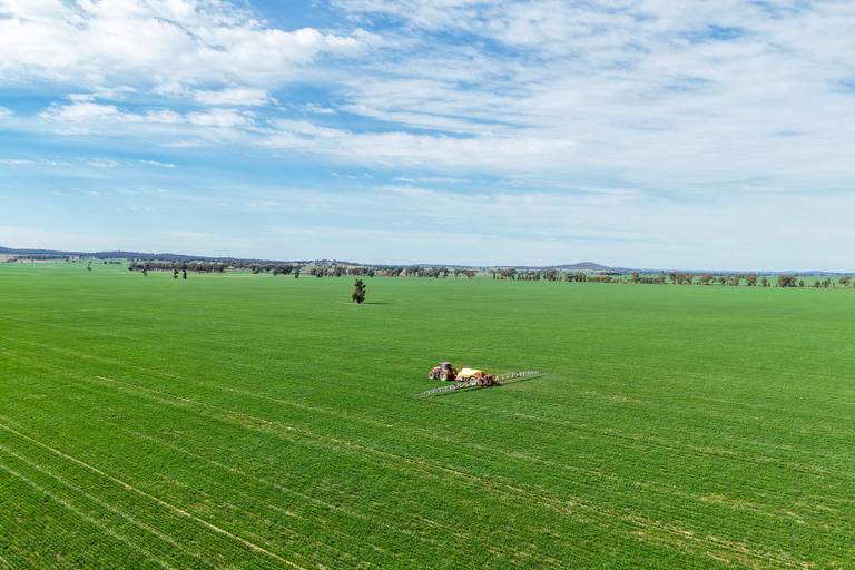 Ariah Park, Beckom, Ardlethan NSW 2665