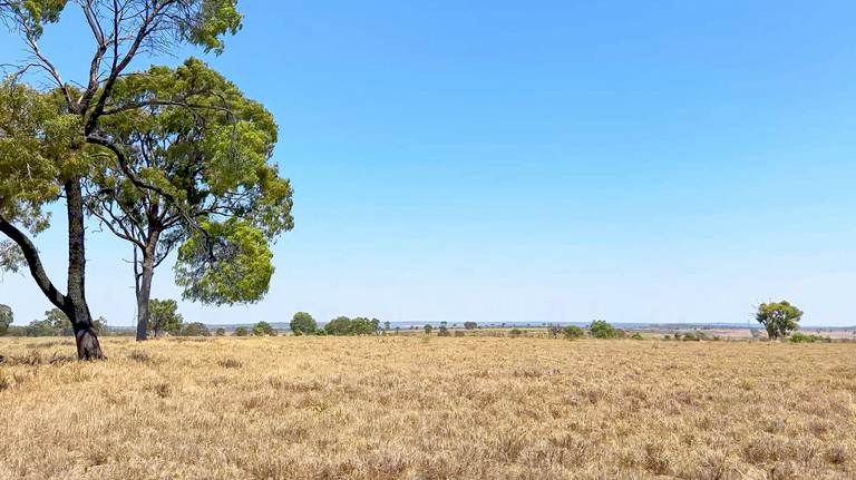 2365 Riley’s Crossing Road, Comet QLD 4702