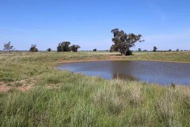 Dandaloo Road, Albert NSW 2873