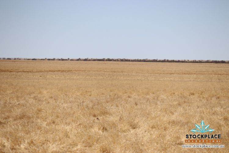 Richmond–Winton Highway, Richmond QLD 4822