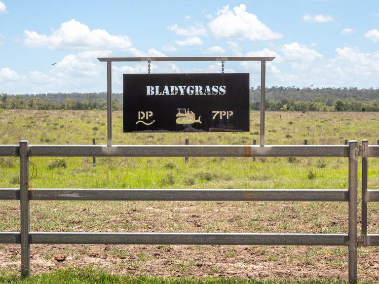 'Blady Grass', Taroom QLD 4420