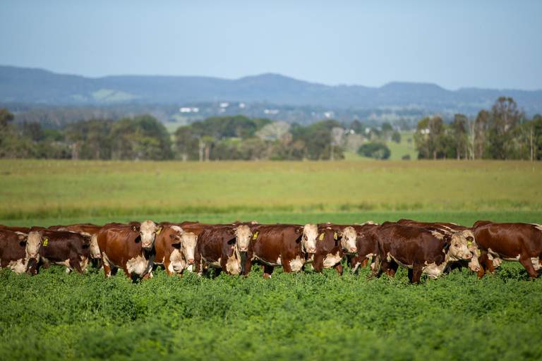 4145 Bruxner Highway, Casino NSW 2470