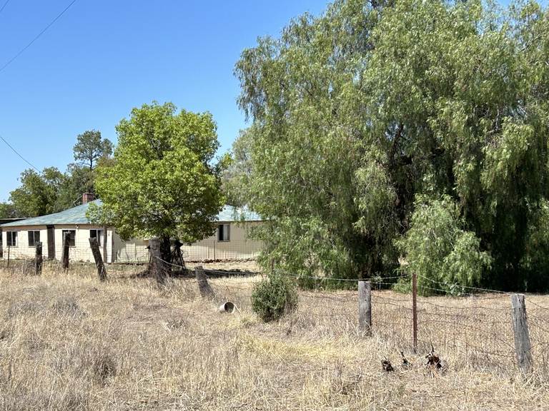 48 FURNERS LANE, Trewilga NSW 2869