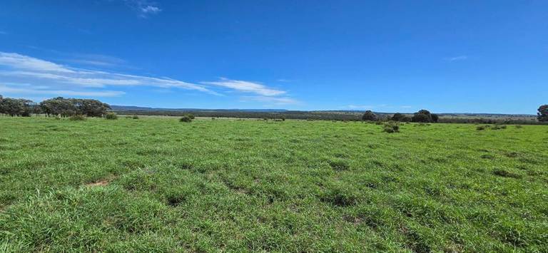 WOONOONA, Roma QLD 4455