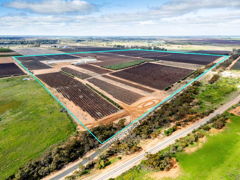 213 Hayward Road, Piangil VIC 3597