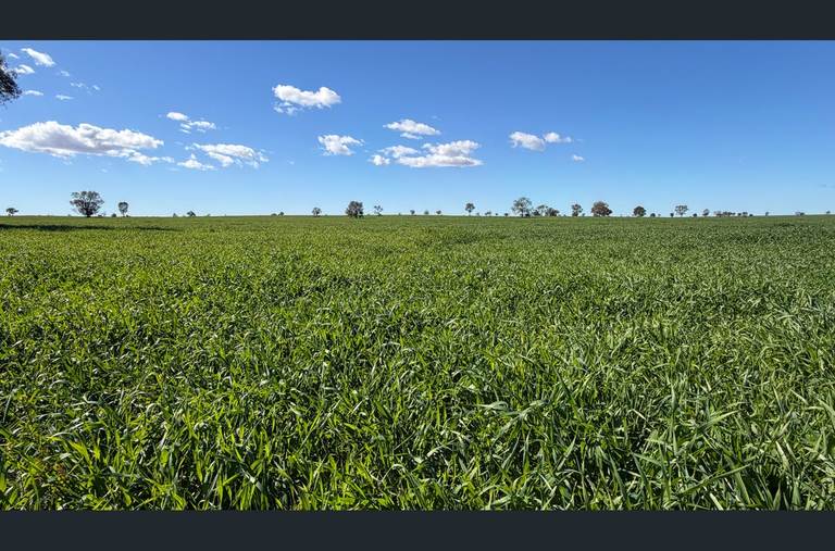 3847 Yarrandale Road, Hermidale NSW 2831