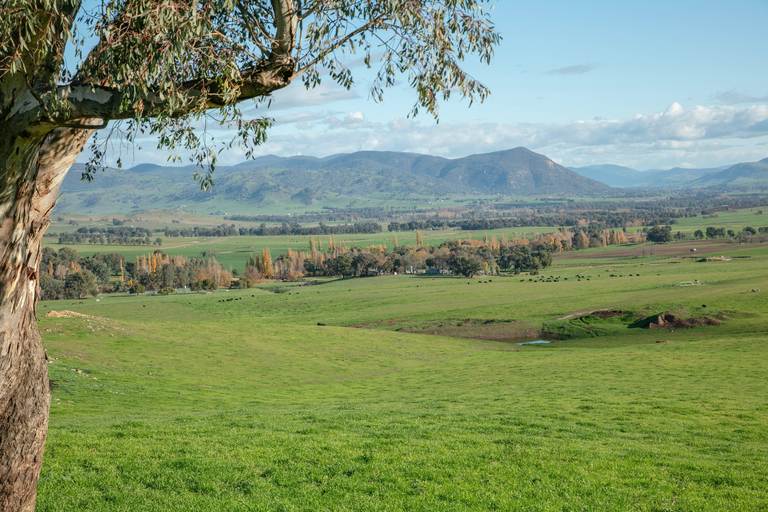 1077 WELAREGANG ROAD, Welaregang NSW 2642